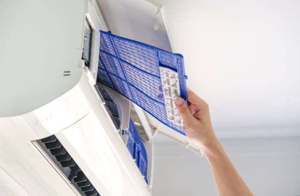 Best Air Duct Mold Removal  in North Conway, NH