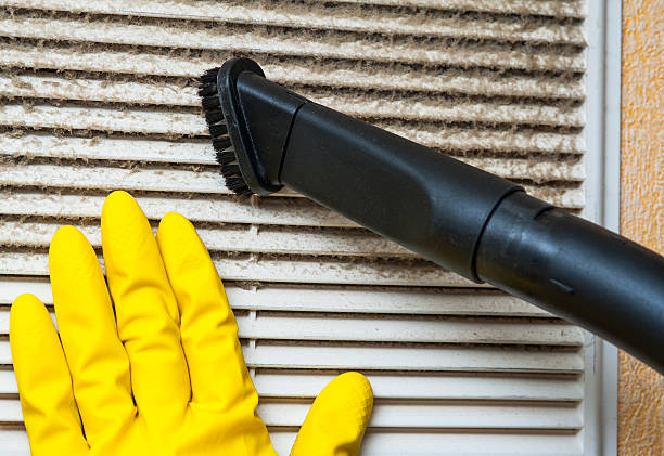 Air Duct Mold Removal in NH